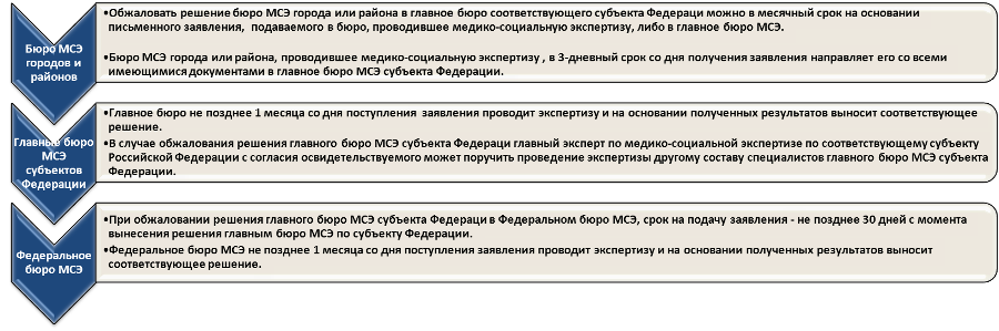 Образец заявления на мсэ по инвалидности